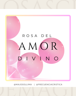 Rosa del Amor Divino