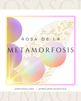 Rosa de la Metamorfosis