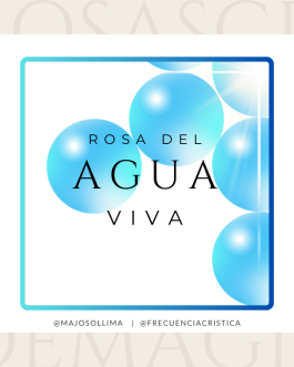 Rosa del Agua Viva