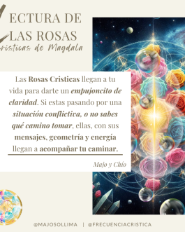 Lectura Rosas Crísticas