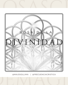 Rosa de la Divinidad