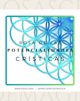 Rosa de las Potencialidades Crísticas