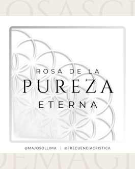 Rosa de la Pureza Eterna