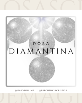 Rosa Diamantina