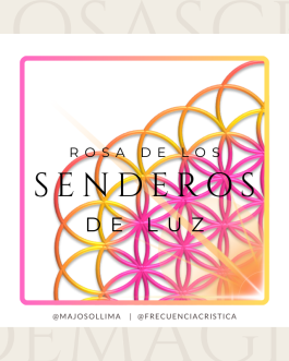 Rosa Senderos de Luz