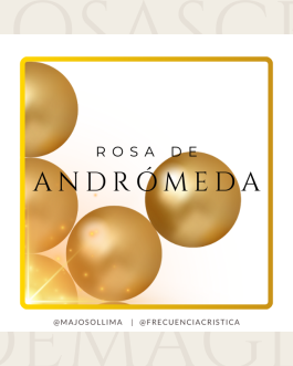 Rosa de Andrómeda