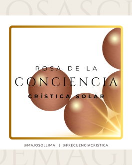 Rosa de la Conciencia Crística Solar