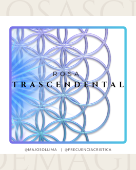 Rosa Trascendental