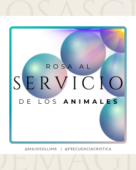 Rosa al Servicio de los Animales