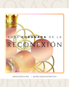 Rosa de la Reconexión