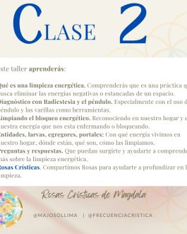 Taller: Armonía Invisible – CLASE 2 💚🧹🌹